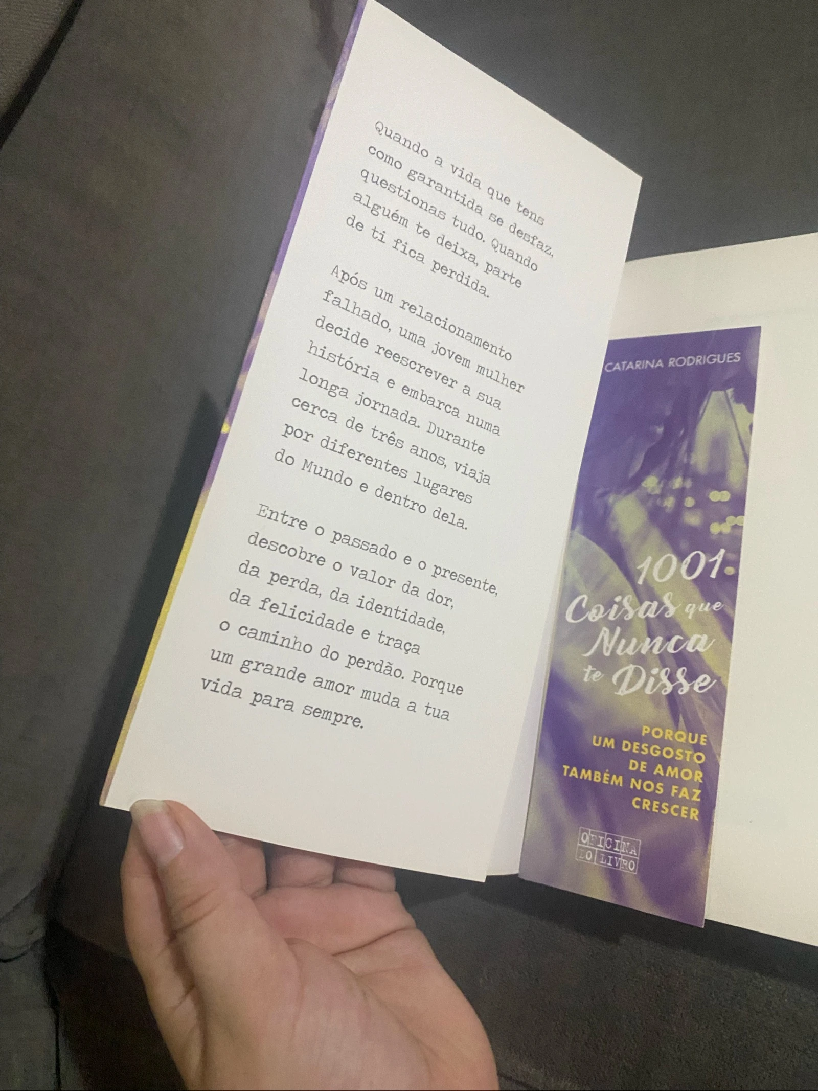 Livro “1001 coisas que nunca te disse” – photo 4